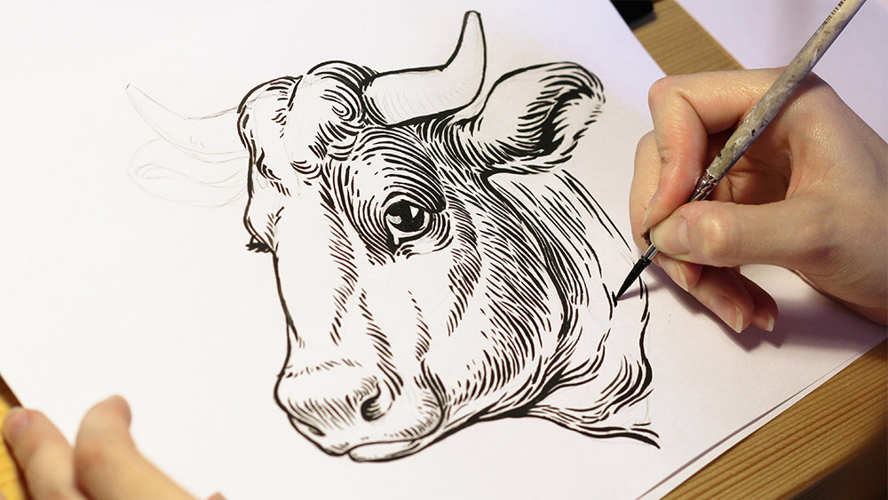 插畫(huà)設(shè)計(jì)