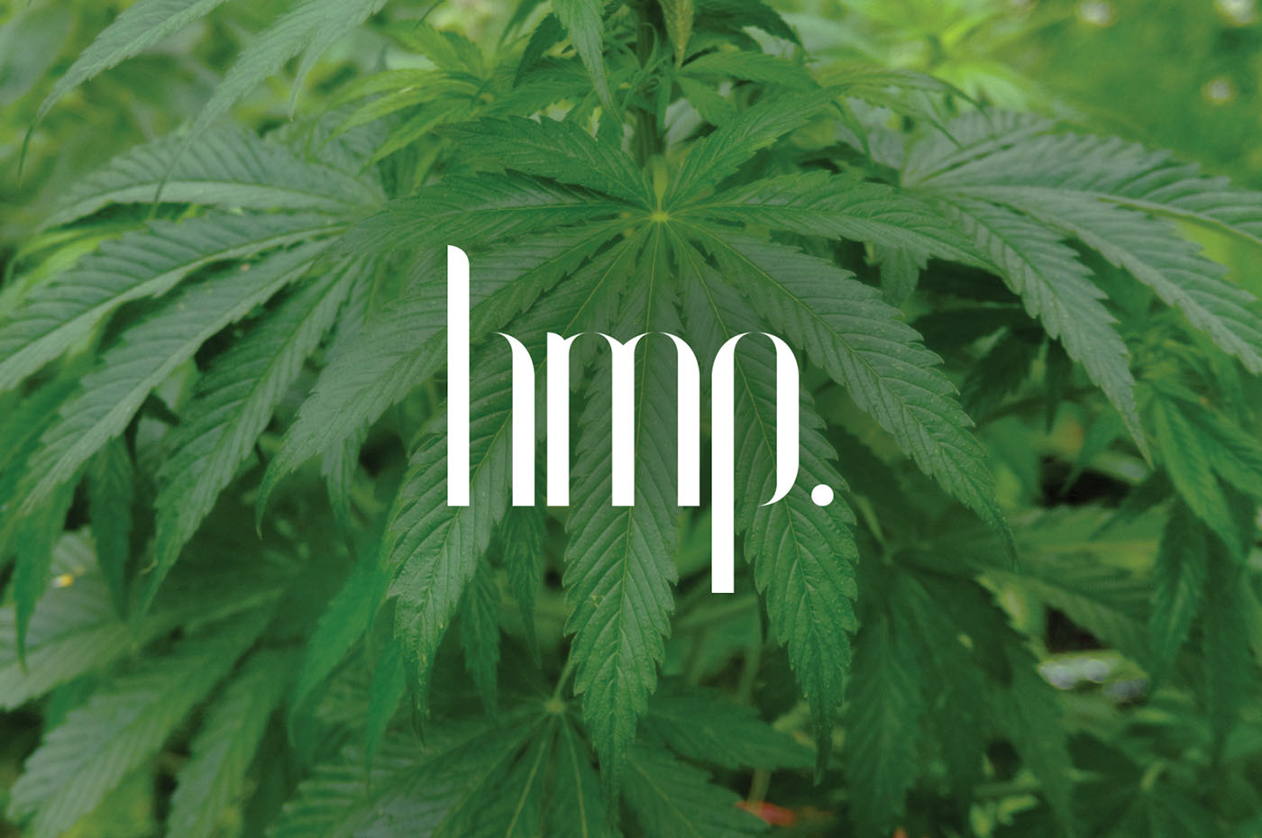 有機(jī)護(hù)膚品品牌