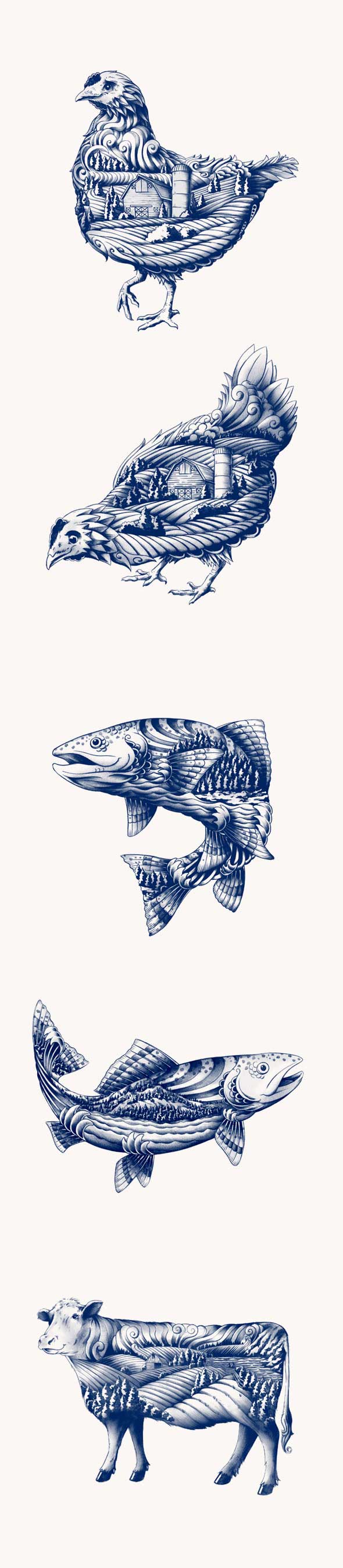 加拿大有機(jī)肉類品牌插畫