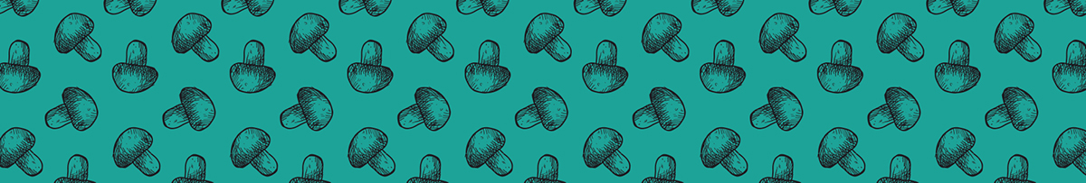 罐裝食品包裝插畫(huà)