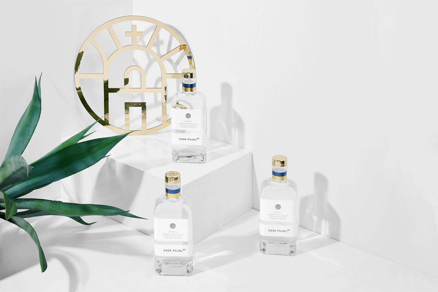 龍舌蘭酒創(chuàng)意包裝設(shè)計(jì)