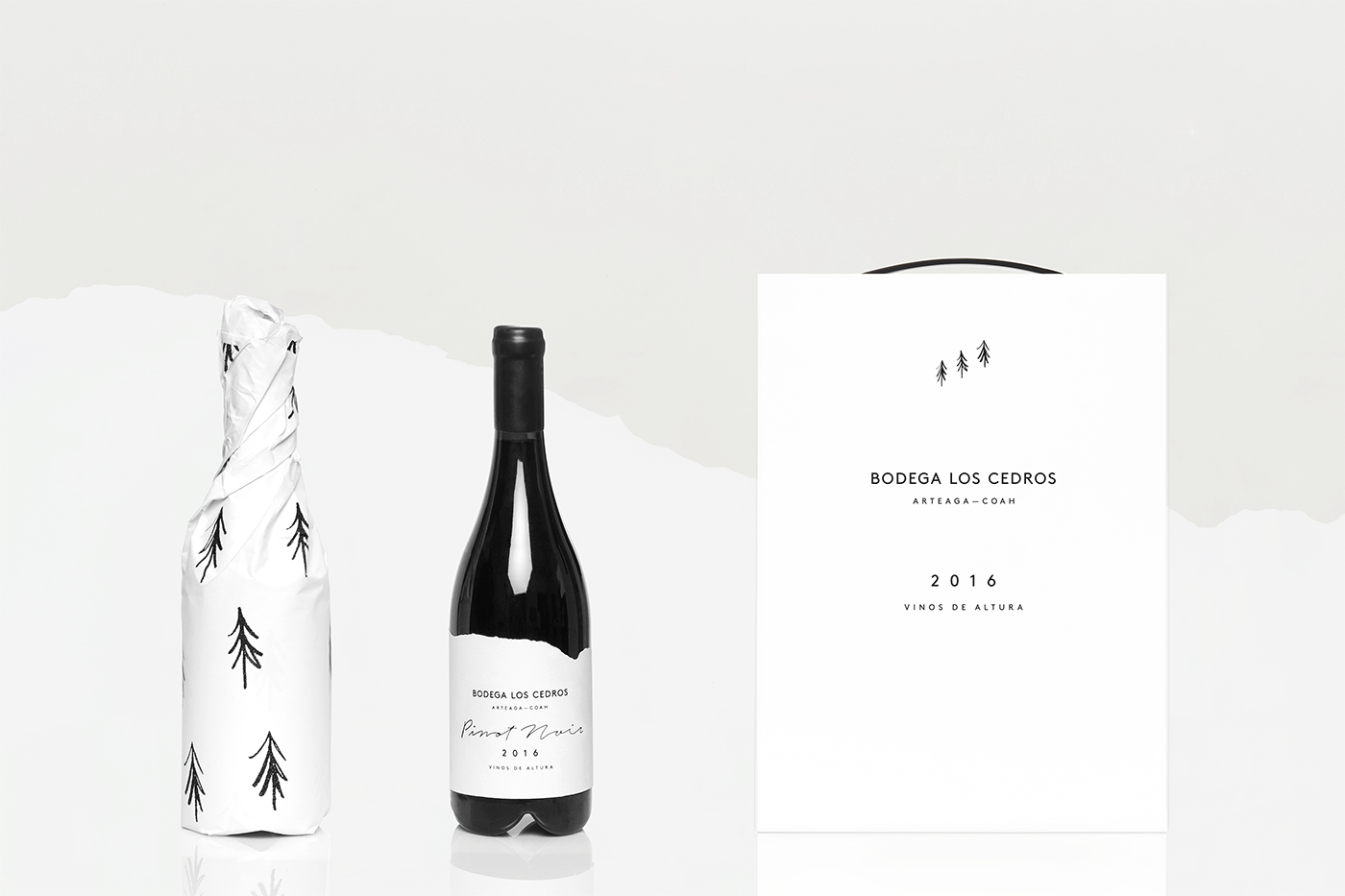 墨西哥葡萄酒創(chuàng)意包裝設(shè)計(jì)