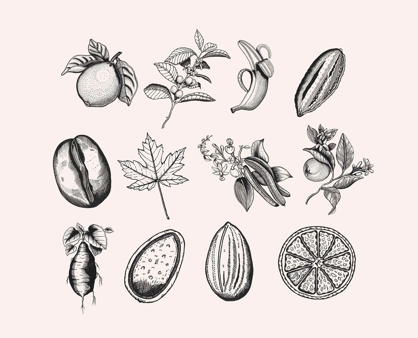 早餐燕麥?zhǔn)称钒b插畫