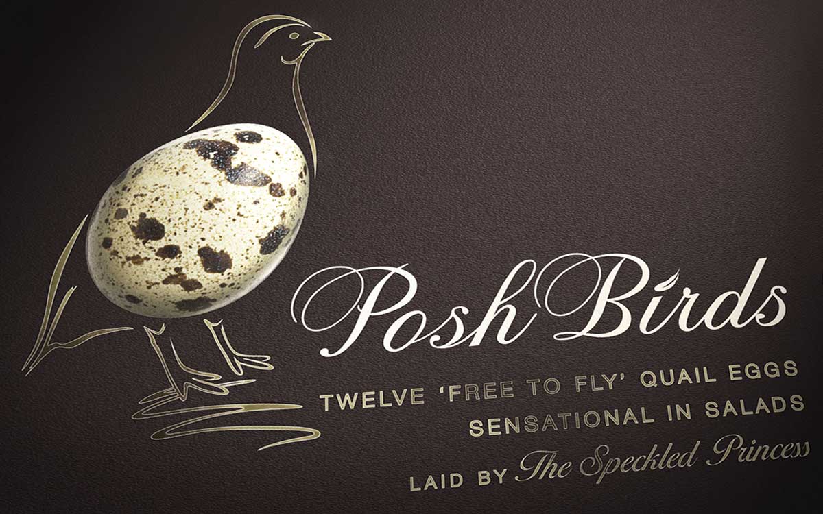 蛋類包裝創(chuàng)意