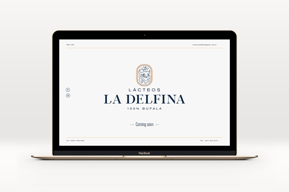 奶制品品牌網(wǎng)站