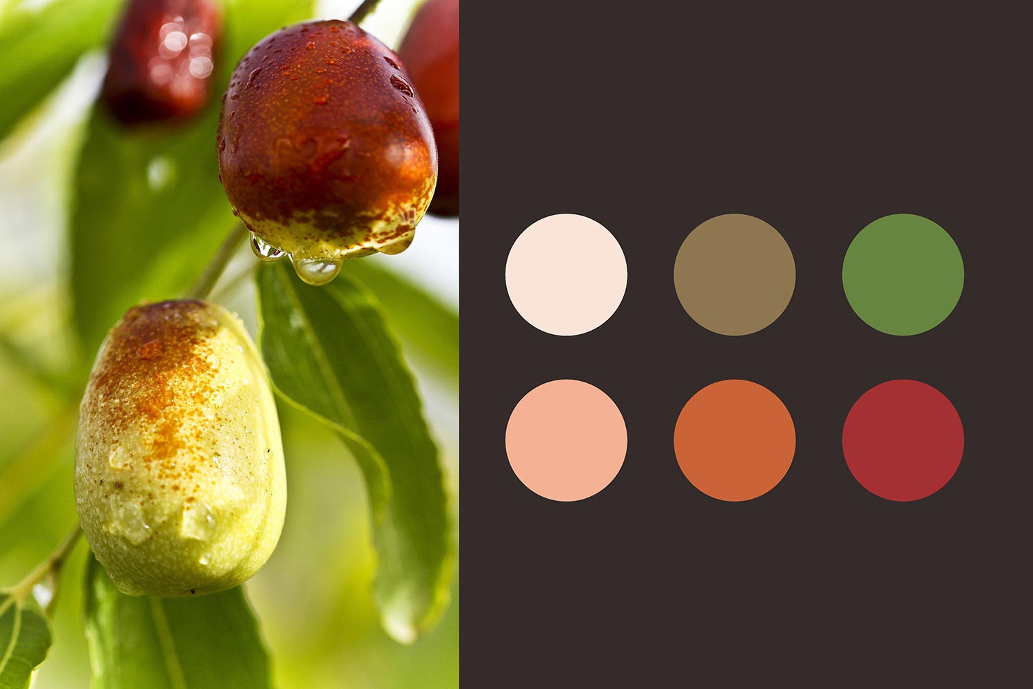 19.jpg-厚啟包裝設(shè)計(jì)