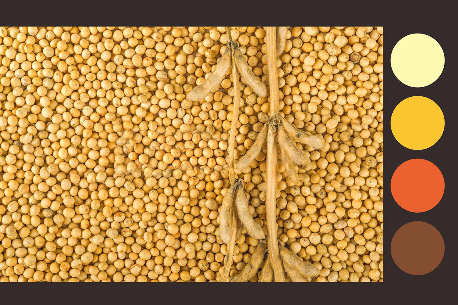 22.jpg-厚啟包裝設(shè)計(jì)