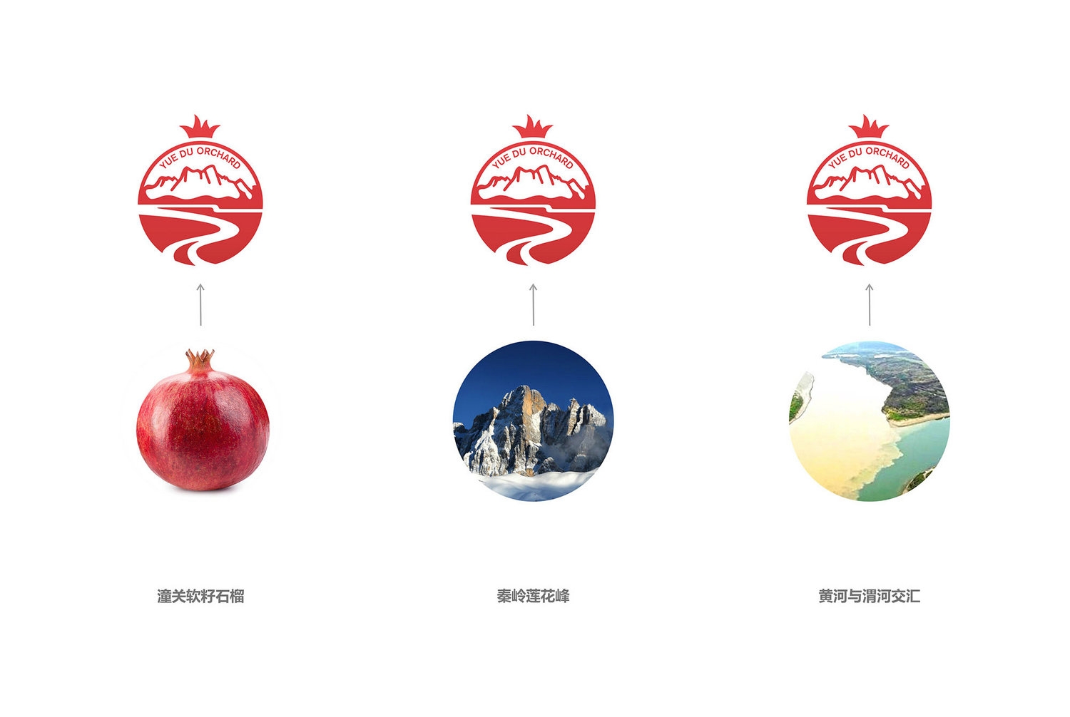 2潼關(guān)軟籽石榴logo設(shè)計(jì)-厚啟包裝設(shè)計(jì)