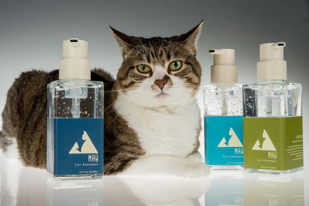 寵物貓洗發(fā)水包裝設(shè)計