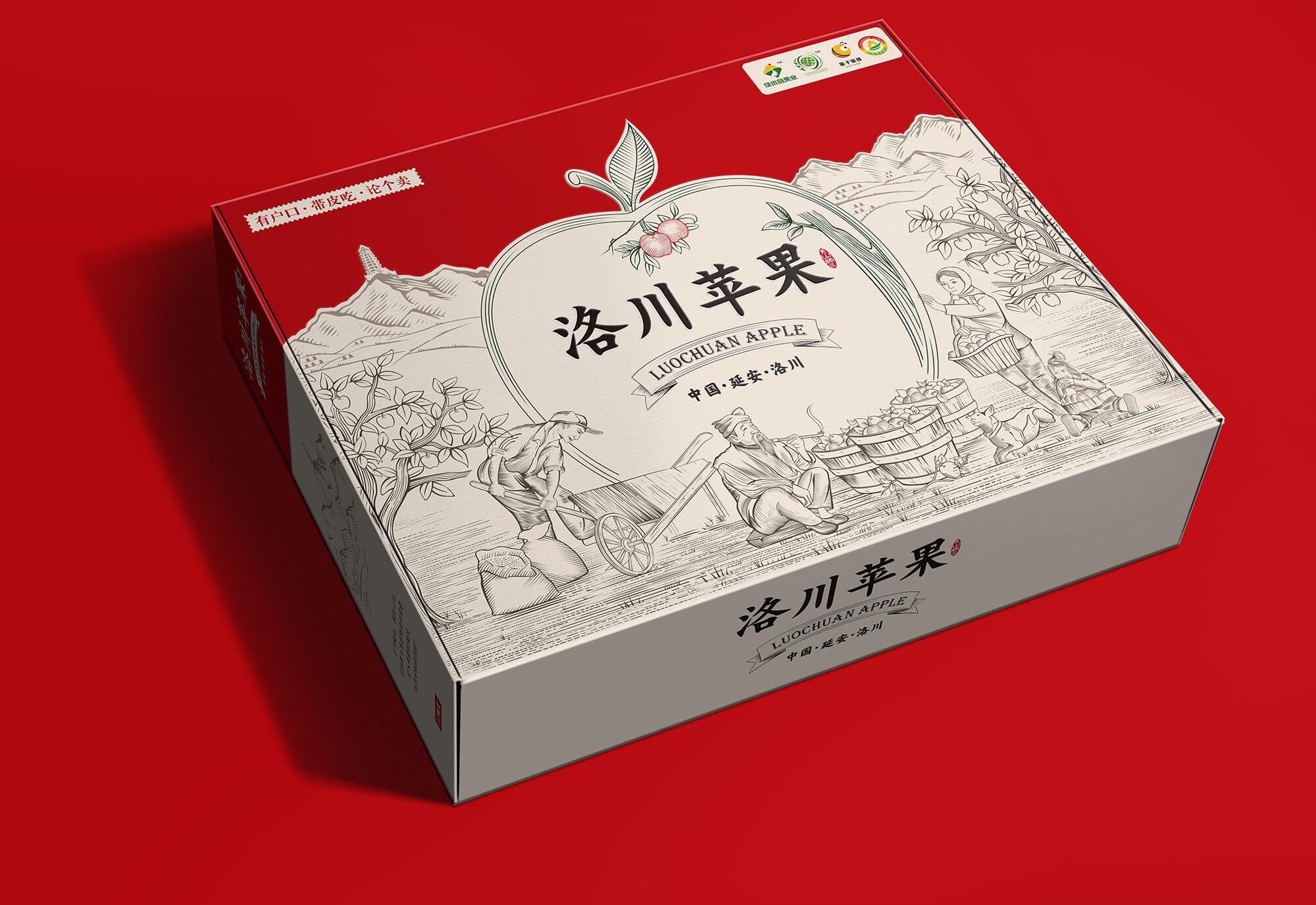 洛川蘋果效果圖04 (1).jpg-厚啟包裝設(shè)計(jì)