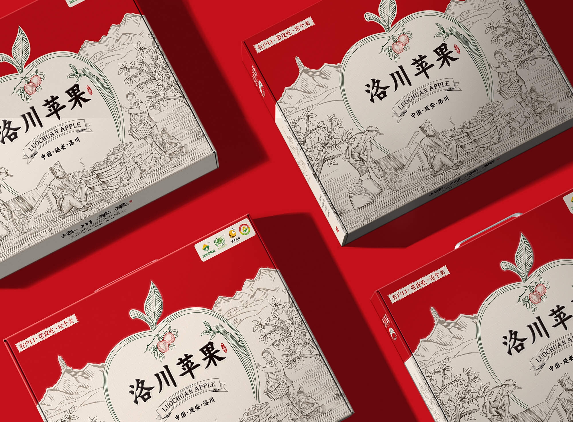 洛川蘋果效果圖08 (1).jpg-厚啟包裝設(shè)計(jì)